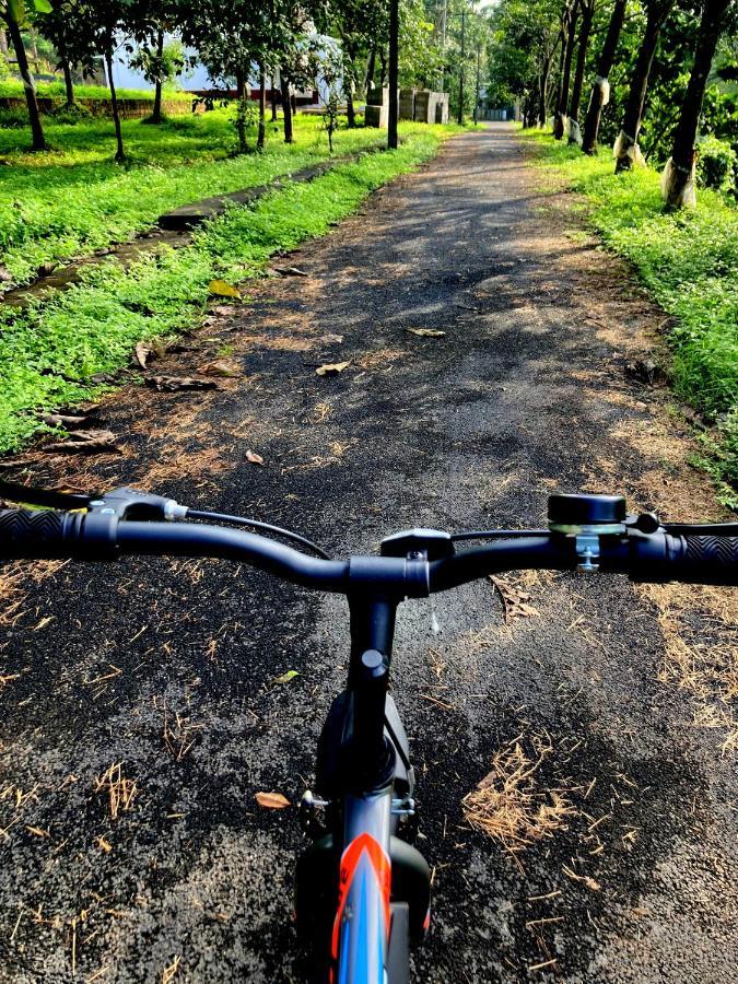 Rockdale Resort Nilambur Bagian luar foto